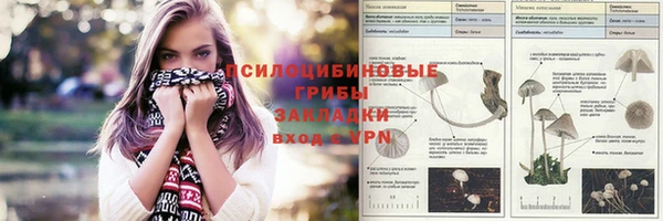 амфетамин Богородск