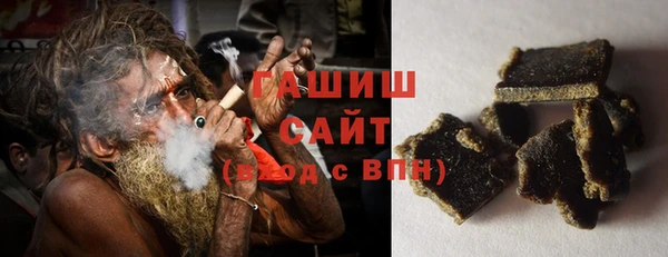 гидра Богородицк