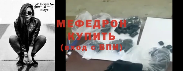 гидра Богородицк