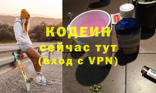 гидра Богородицк