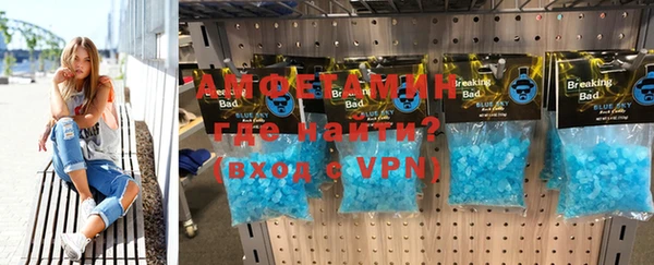 гидра Богородицк