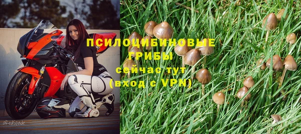 амфетамин Богородск