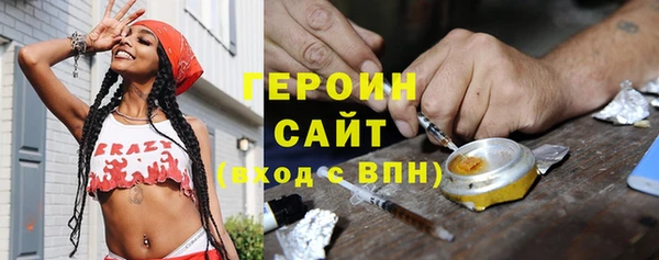 гидра Богородицк