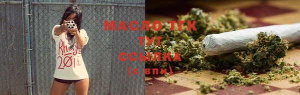 гидра Богородицк