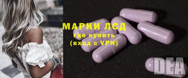 гидра Богородицк