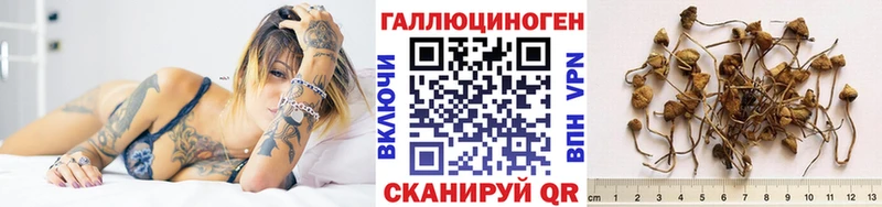 omg зеркало  нарко площадка клад  Псилоцибиновые грибы ЛСД  Юхнов 