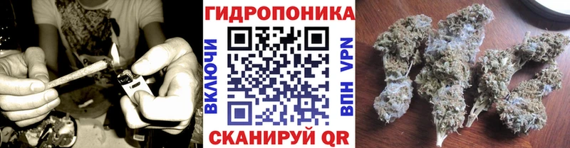 Канабис Bruce Banner  цены   это телеграм  Юхнов 
